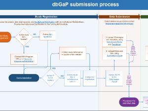 dbGap submission process infographic